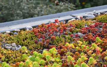 the cost of Offord Cluny green roof installation