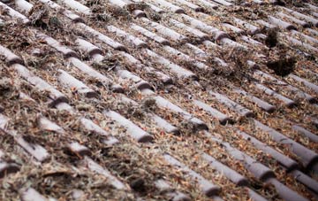 Offord Cluny roof cleaning companies