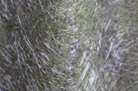 Offord Cluny fibreglass roof work